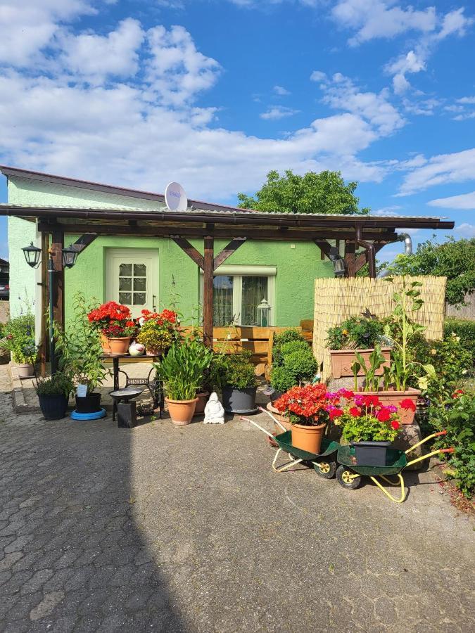 Ferienwohnung Bauerngarten Klein Vielen Kültér fotó